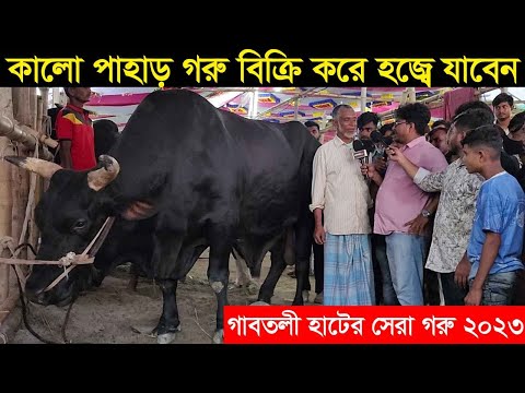গাবতলী হাটের সেরা গরু কালো পাহাড় কে বিক্রি করে হজ্বে যাবেন গরুর মালিক gabtoli haat kalo pahar goru