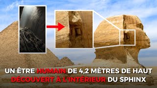 Des archéologues se sont glissés à l’intérieur de l’ancienne Sphinx !