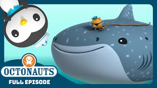 @Octonauts -   😱 The Enormous whale Shark 🦈 | Season 1 | Full Episode | SHARK WEEK