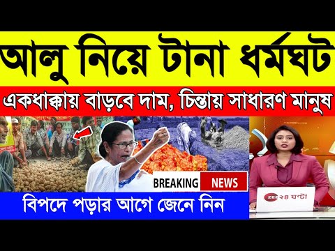 আজকের আলুর বাজার মূল্য ! india potato news West bangal ! Potato price today West Bengal