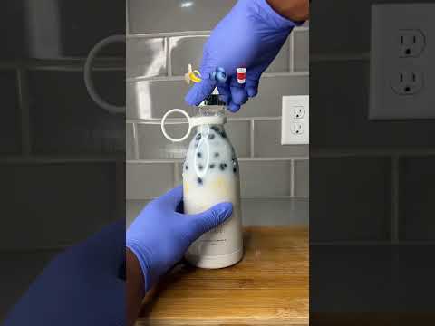 What should I make next?!? #fruit #milkshake #smoothie #juicer #fruitlover #foryou #explore