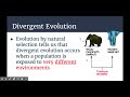 Evolutionary Processes and Concepts