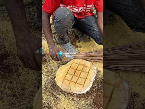 മതിലിനടുത്ത് മരങ്ങൾ വന്നാൽ #youtube #shorts