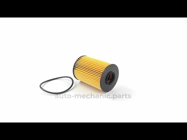 Фільтр масляний Renault Master 3.0DCI/MASCOTT Фургон 120.35, видео - интернет-магазин Auto-Mechanic