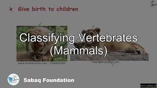 Classifying Vertebrates (Mammals)