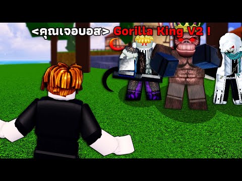 ผมสู้กับบอสทุกตัว ใน Blox Fruits
