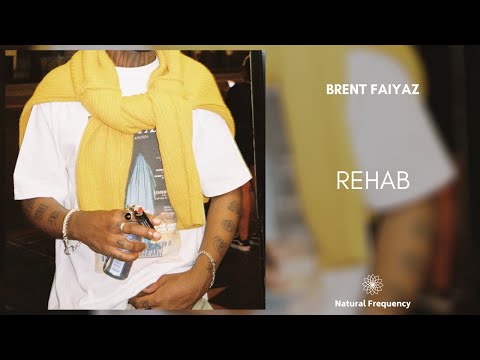 Brent Faiyaz - Rehab (Winter In Paris) • 432Hz