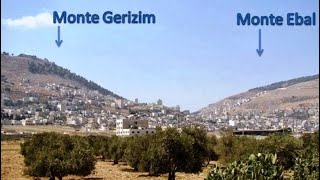 Parashat “Ree” Mira hacia la Meta, Un Cambio de Arrepentimiento desde Israel 🚨
