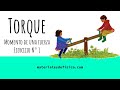 Seesaw Mechanics and Torque Concepts