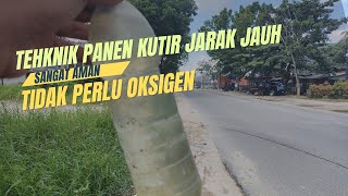 Rahasia Kutu Air tetap hidup dalam perjalanan lebih dari 30 Menit