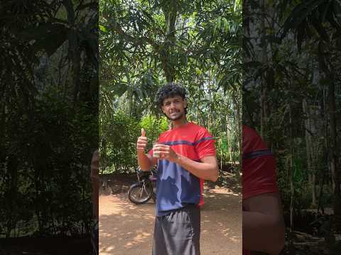 ഇന്ന് 24 മണിക്കൂറും ഞാൻ കഴിക്കുന്ന ഭക്ഷണങ്ങൾക്ക് ഒരു കോമ്പിനേഷനും ഉണ്ടാവില്ല 🍛😂#shortsa