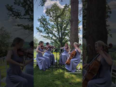 Bridgerton - Quartetto d'Archi Venezia