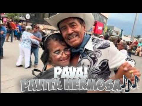 Ven pavita💃 hermosa ❤️ y verás que alegría ❤️🎶 puro norte💘