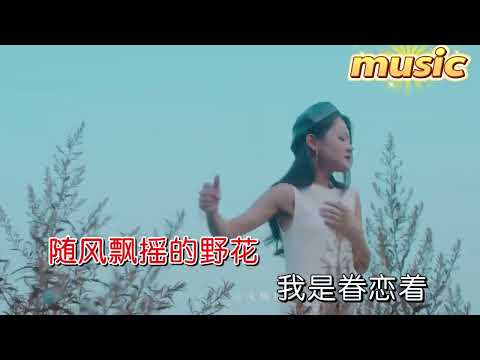 野花-夢然KTV 伴奏 no vocal 無人聲 music 純音樂 karaoke 卡拉OK 伴唱野花-夢然