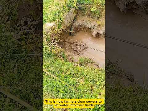This is how farmers clear sewers to let water into their fields #sewer#tips