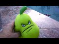 Squash's Water Adventure Questions