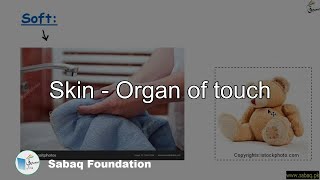 Skin - Organ of touch