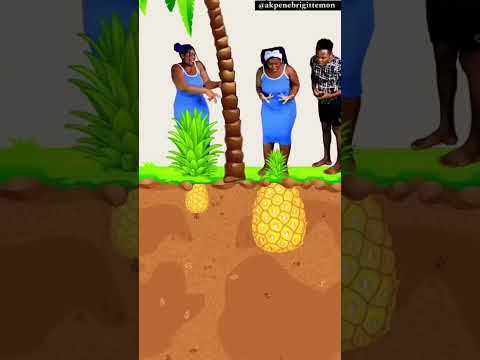 আমার আনারস গাছটাতে  একটু পানি দিয়ে দিই😱😱👈#love #shorts