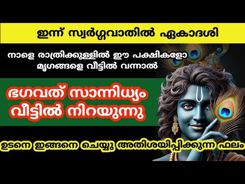 ഈ മൃഗങ്ങൾ / പക്ഷികൾ വീട്ടിൽ വന്നാൽ ഉടനെ ഈ അൽഭുതങ്ങൾ സംഭവിക്കും...vaikunda ekadashi 2025