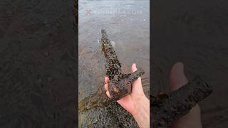 100 years underwater