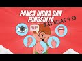 Understanding the Five Senses