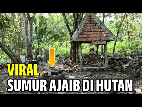 Viral.! Sumur Ajaib Penyembuhan Orang Stres Dalamnya Bikin Kaget