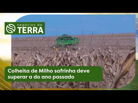 Colheita de Milho safrinha deve superar a do ano passado | Negócios da Terra (28/06/2025)
