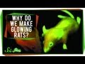 Understanding Genetic Engineering and Media Representation