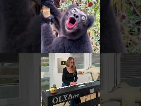 Do you like our duet? #piano #pianoduet #dashashpringer #animals