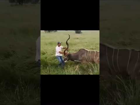 Easy Takedown