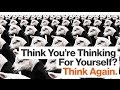 Understanding Social Influence and Psychology