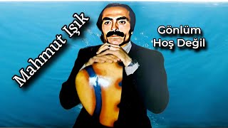 Mahmut Işık Gönlüm Hoş Değil