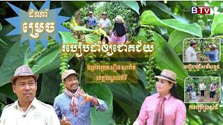 AGRICULTURE/កសិកម្មៈ របៀបដាំម្រេចឲ្យជោគជ័យ "How to grow peppers successfully in Mondulkiri "