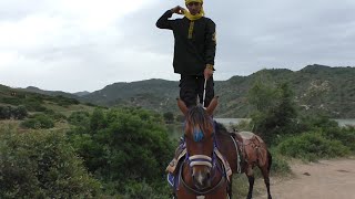 الحصان التونسي الاصيل  يوصل لل200 مليون 🐴🐴 عمري 8 سنين نركب عالحصان