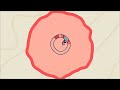 Exploring Recombinant DNA Technology