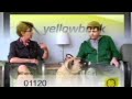 Understanding Yellowbook.com and Its Purpose