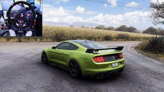 1200HP Shelby GT500 - Forza Horizon 5 | Steering wheel gameplay