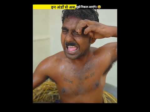 इन अंडों से अब चूझे निकल आए । #शॉर्ट्स