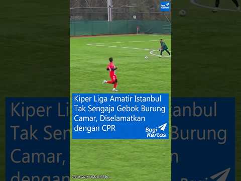 CRAZY! Kiper Tendang Bola, Kena Burung Camar… Diselamatkan di Tengah Laga! 🕊️⚽