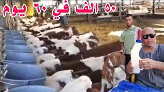 اربح ٥٠ الف جنيه من اول استثمار مع البعل في ٦٠ يوم بس وبتعاون مع كبري المزارع والمحاجر