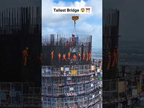 World's Tallest Bridge China 😨 #shorts #viralshorts #trending