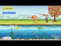 Ecosystem Roles and Energy Flow