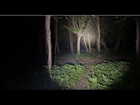 Horror #ghost #nature #scary #creepy #paranormal #abandoned #scarystories #skinwalker