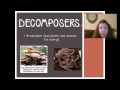 Energy Flow and Food Chains