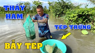 Lộ Bí Quyết Bẫy Tép Cực Kỳ Đơn Giản Thấy Mê, Bữa Cơm Dân Dã Miền Tây/NGÃ NĂM TV