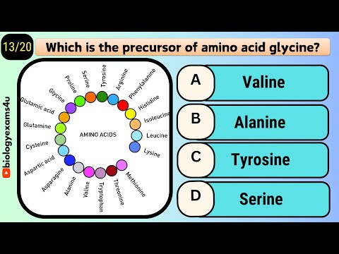 👉Amino Acid Quiz