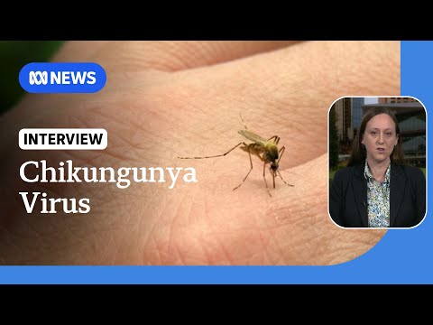 YouTube video thumbnail: WHO Calls for Action to Prevent Spread of Chikungunya Virus 