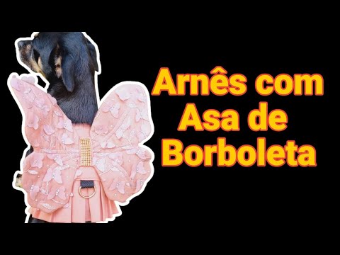 Como Fazer Arnês para Cães com Asas de Borboleta