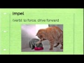 Vocabulary and Language Comprehension