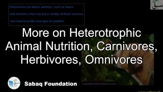 More on Heterotrophic Animal Nutrition, Carnivores, Herbivores, Omnivores